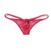 Men's Sexy Low Waist Mesh Transparent Briefs