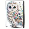 2pcs Owl Partial DIY 50 Pages A5 Diamond Painting Notebook for Study Drawing
