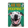 Are you puffing? - Vintage Metal Signs - 20*30cm/30*40cm