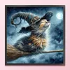 Broomstick Cat-11CT/14CT Stamped Cross Stitch 40*40cm