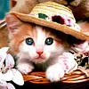 Diamond Painting-DIY Full Drill  Cat