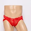 Men's sexy low-waisted sexy lace fully transparent underwear