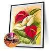 >SALE<Drawing Kit 5D Diamond Painting Full Square Drill (DF1011 Red White Flower)
