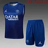 Joyfball 2025/2026 Psg Paris Saint-Germain pre-match training Jersey+Shorts  1:1 Thai Quality