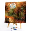 Forest-Paint By Numbers Acrylic Painting 40*40cm