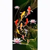 Fish Lotus - Full Round Diamond Painting(85*45cm)