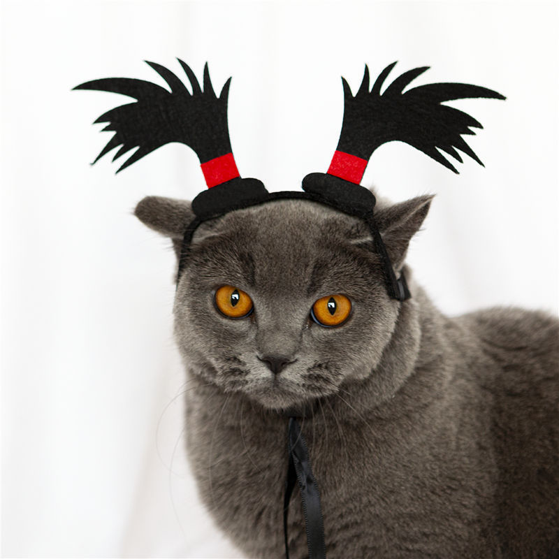 Purrfect Twist: Quirky Cat Cosplay Braids & Whimsical Dog Photo Props