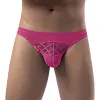 Men's Athletic Silk Underwear Low Rise Nylon Mesh Elastic Solid Pattern Sexy Briefs