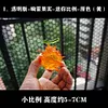 Hollow-Hollow Fruit & Rumble-Rumble Fruit - ONE PIECE Resin Statue - Demon Studios