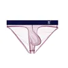 Men's Ultra-Thin Ice Silk Transparent Sexy Low-Rise Briefs