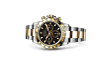 Rolex 116503 Cosmograph Daytona - Rolex Warranty to 2026