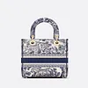 BAG（24 x 20 x 11 cm）
