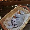 Reborns Gift, 17inch Alise Truly Baby Girl Toy - RBBI-Myrebornbabydoll&reg; Myrebornbabydoll&reg;