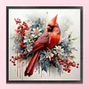 (Stamped/Counted) Cardinal Bird- 11CT Cross Stitch 40*40cm