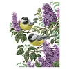 Robin - 14CT Stamped Cross Stitch - 46*37cm - Bird Flower