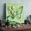 Tulip Butterfly DIY Pearl Painting Kit with Frame 30x30cm Pearl Gem Paintings Picture Arts Craft for Adults/Beginners Gift Home Wall Decor
