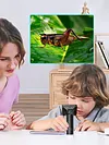 50-1000X Digital Microscope USB Macro Lens for Biological Observe Skin Detection