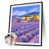 Lavender Field-Paint By Numbers Acrylic Painting 40*50cm