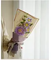 DIY Handmade Twist Stick Craft Flower Bouquet Chenille Stems Craft Pipe Cleaners Gift Decor Set