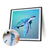 Framed Swimming Turtle-Paint By Numbers Acrylic Painting 20*20cm(HOT)