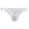 Men's Sexy T-Back Thongs Low Rise Underwear Bulge Pouch Ice Silk Briefs