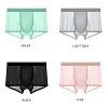 Men's Transparent Ice Silk Underwear