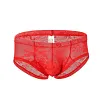 Low Waist Sexy Sheer Mesh Lace Briefs