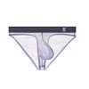 Men's Ultra-Thin Ice Silk Transparent Sexy Low-Rise Briefs