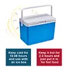 3L Insulated Portable Cooler with Handle Mini Freezer Fridge for Beach Picnic