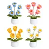 4Pcs Potted Plants Crochet Kit DIY Crochet Starter Kit Crochet Set for Beginners