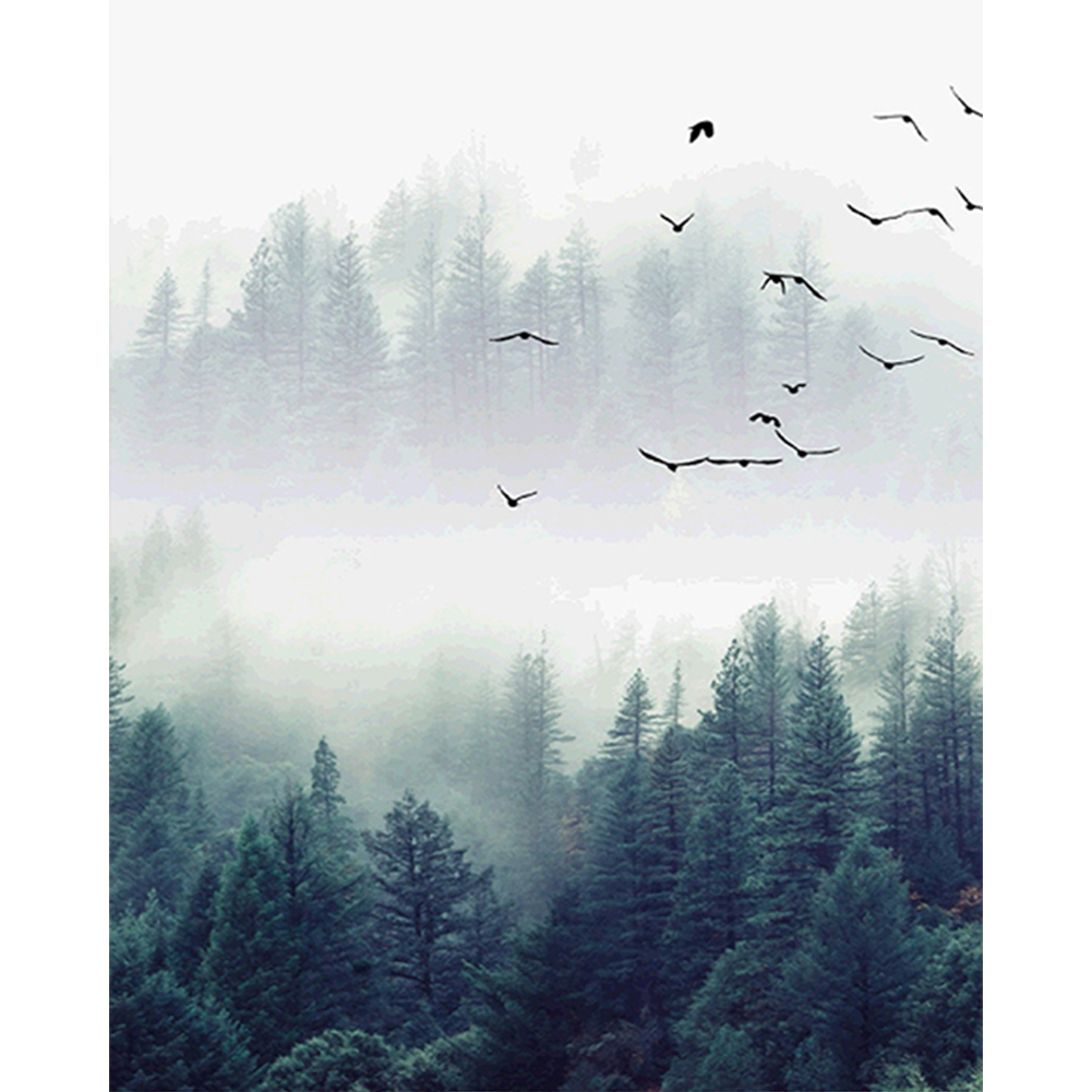 Forest Mist-Paint by Numbers-30*40cm/40*50cm