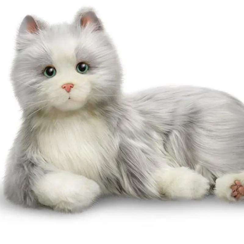COMPANION PET CAT