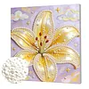 Lily DIY Pearl Painting Kit with Frame 30x30cm Pearl Gem Paintings Picture Arts Craft for Adults/Beginners Gift Home Wall Decor
