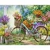 Frameless Bicycle - Paint by Numbers Acrylic Painting 40x50cm