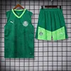 2024/2025 Palmeiras pre-match training Green Jersey+Shorts 1:1 Thai Quality