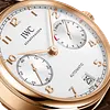 IWC IWC Portugieser Series IW500701 Watch