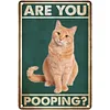 Asian pussy - Vintage Metal Signs - 20*30cm
