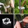 50/100/150 pi&egrave;ces Clips support pour plantes