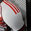 2025-2026 Player Version Japan Special Edition Football Shirt 1:1 Thai Quality
