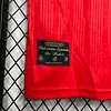 1996 Retro Spain Home Football Shirt 1:1 Thai Quality