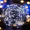 3M Copper Wire String Lights PVC LED Fairy Lights for Bobo Balloon (White Light)