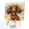 (US Local)Paint By Numbers Kit On Canvas DIY Oil Art Dachshund Picture Home Decor40x40cm