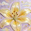 Lily DIY Pearl Painting Kit with Frame 30x30cm Pearl Gem Paintings Picture Arts Craft for Adults/Beginners Gift Home Wall Decor