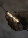 Wind Rope Buckle Light Type-C Charging IPX4 Waterproof Lamp for Outdoor Camping