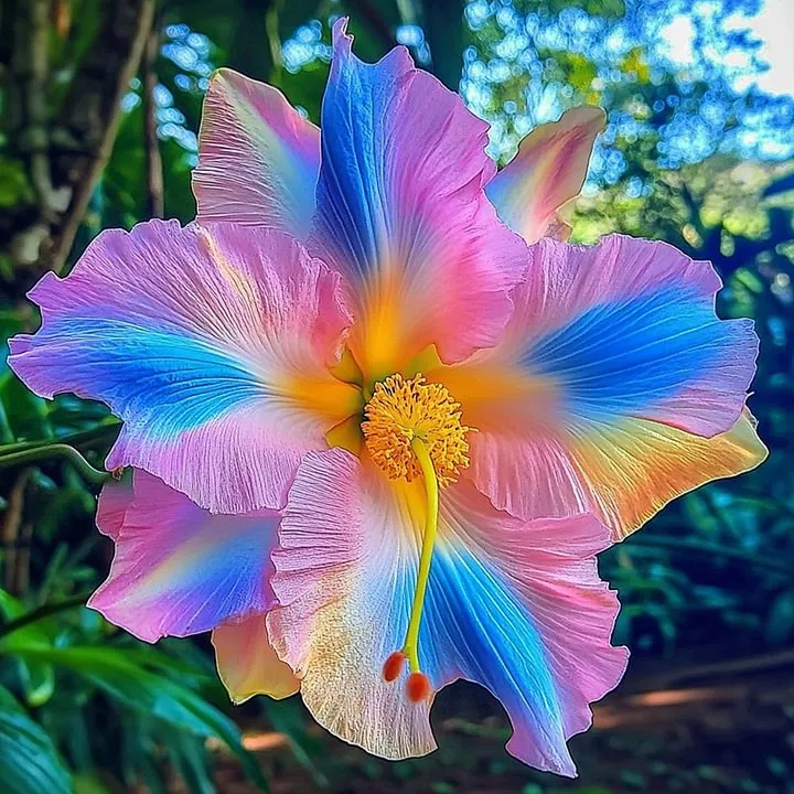 Ocean-Double Hibiscus Bulbs