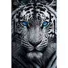 (US Local)White Tiger - Round AB Drills Diamond Painting(45x65cm)