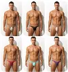 Men's Sexy Low Rise Briefs See-through Ice Silk Bikini Soft Sheer Bulge Pouch Underwear