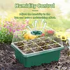 🔥Hot Sale Promotion 49% OFF - Seed Starter Trays with Grow Light