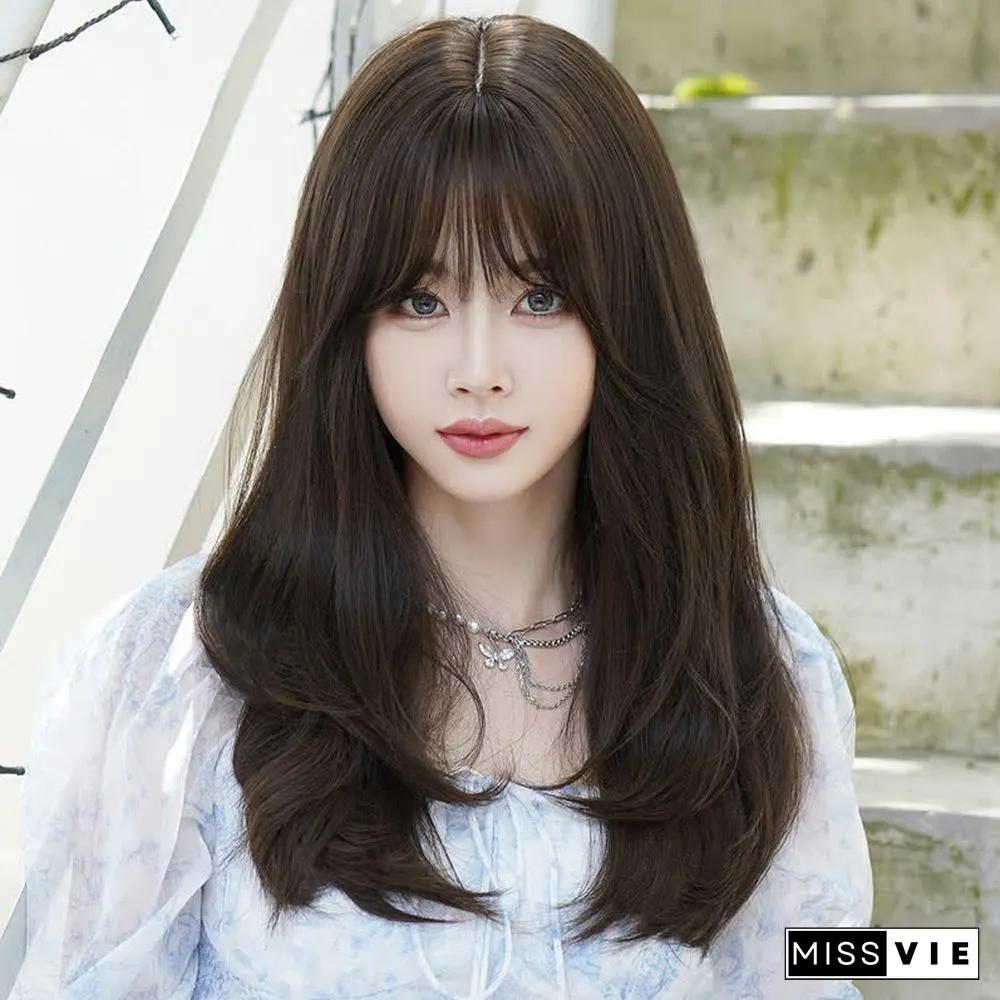 Long Layered Straight Wig With Bangs