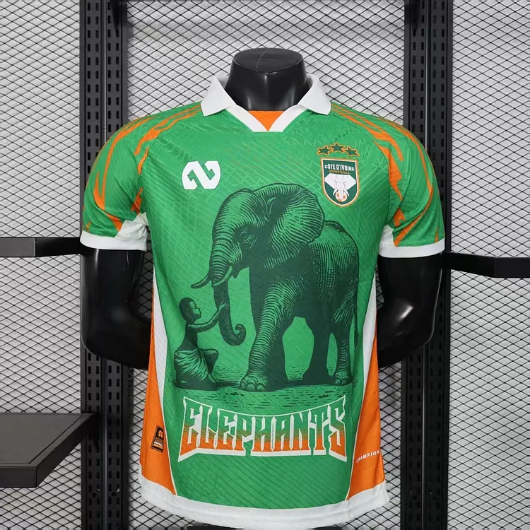 Player version - Ivory Coast 25/26 Special Edition Jersey